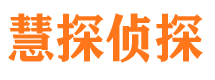 雁峰侦探公司